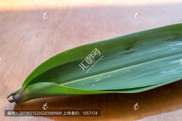 粽子葉