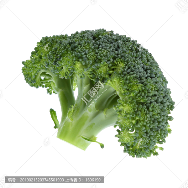 西蘭花