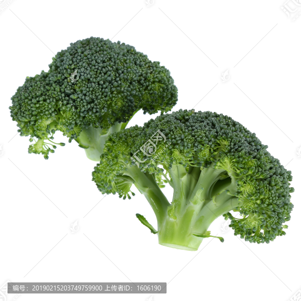 西蘭花