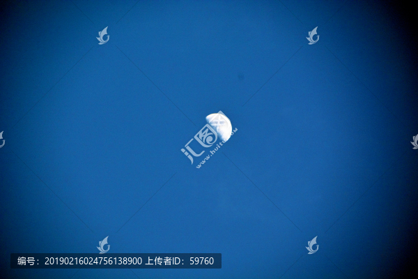 半月