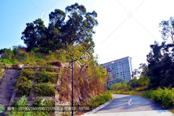 景區(qū)道路
