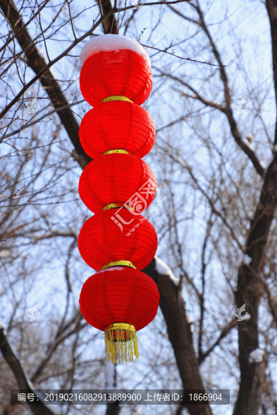 大紅燈籠高高掛