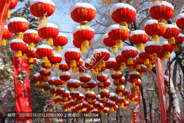 大紅燈籠高高掛
