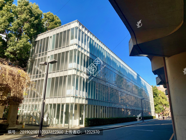 日本東京大學校園一角