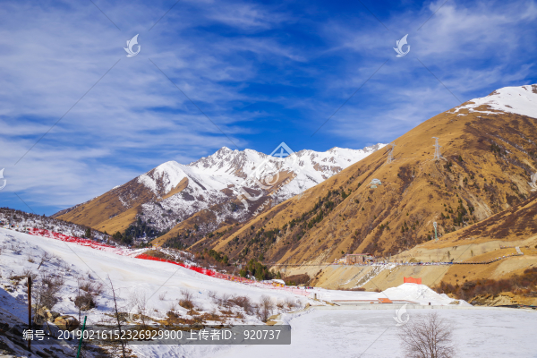 鷓鴣山