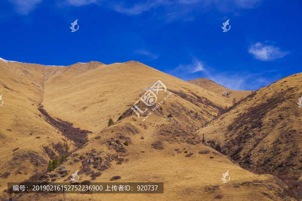 鷓鴣山