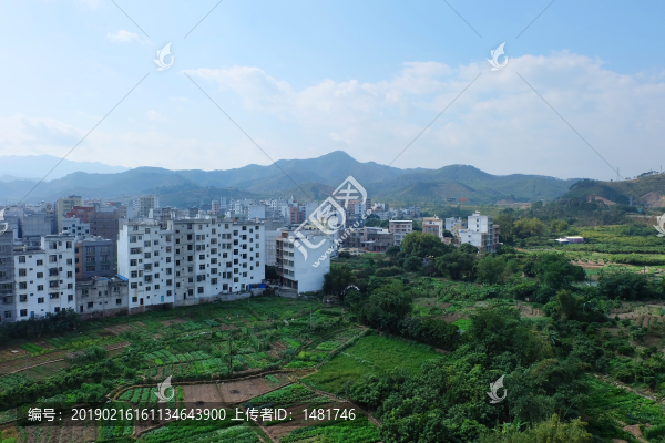 山城