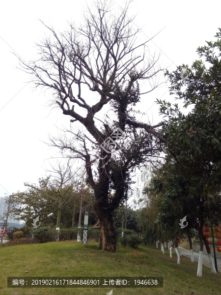 公園