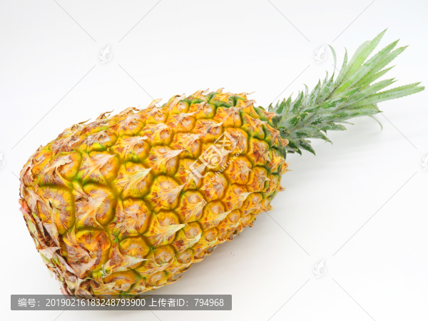 菠蘿