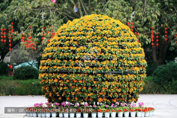 花球