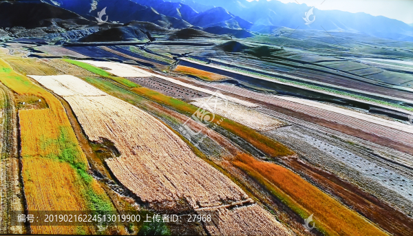 高原