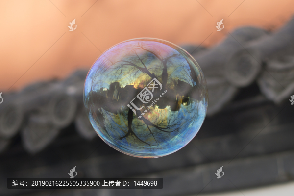 泡泡里的世界