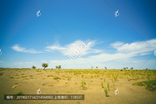 新疆沙漠