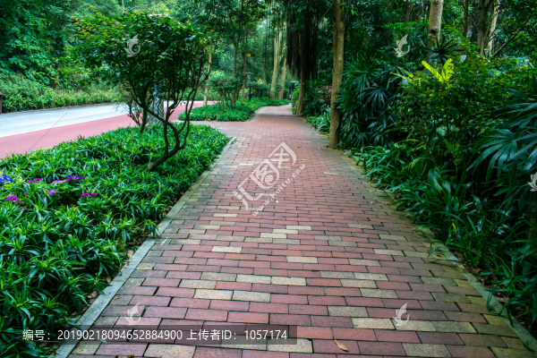 公園小路