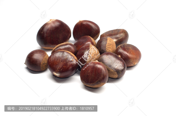 板栗