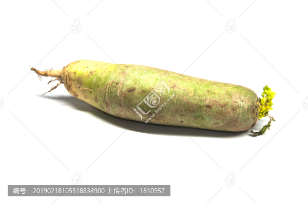 青蘿卜