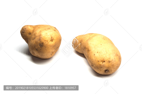 馬鈴薯