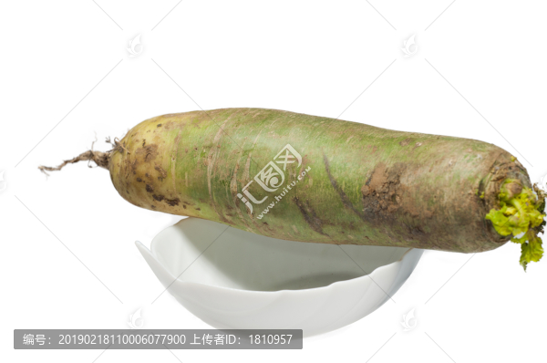 青蘿卜