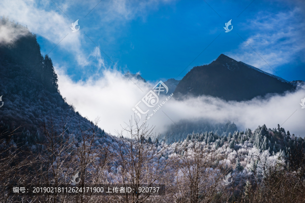 理縣畢棚溝景區(qū)