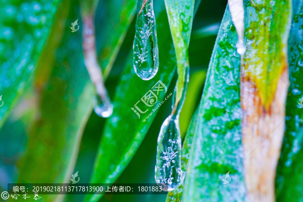 冰柱