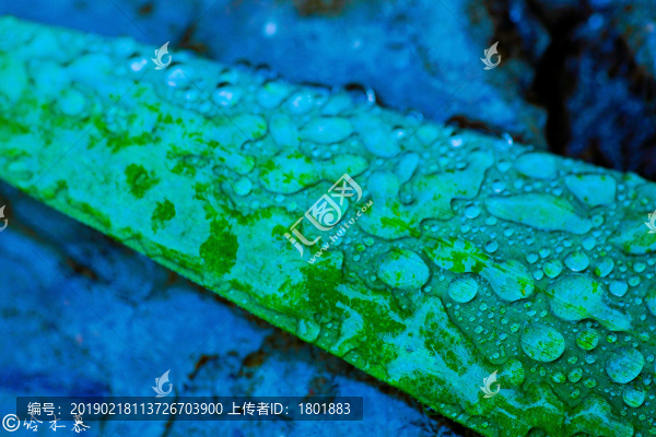 雨后