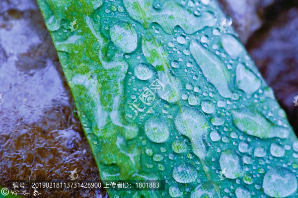 雨后