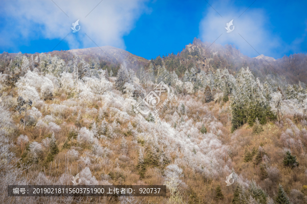 畢棚溝景區(qū)