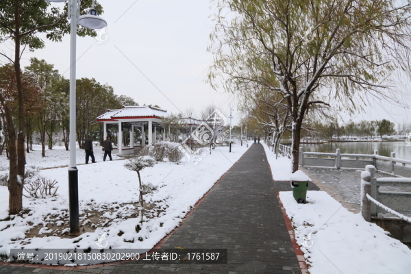 雪景