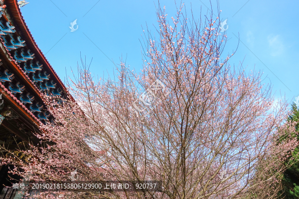林陽(yáng)寺