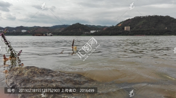 界首仙田口材河灘邊