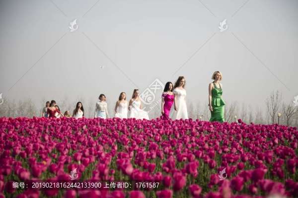 花海