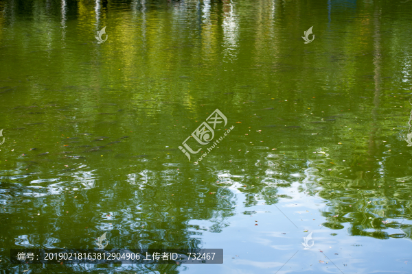 深圳人民公園湖景