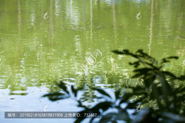深圳人民公園湖景