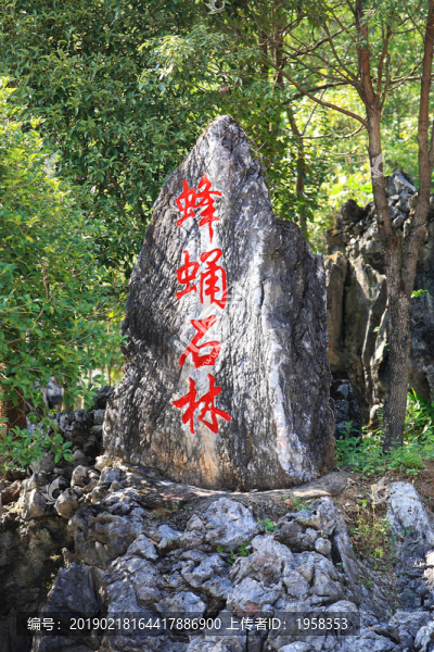 蜂蛹石林