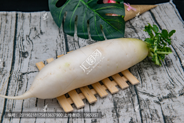 蘿卜