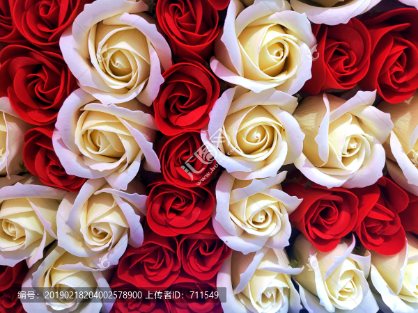 玫瑰花