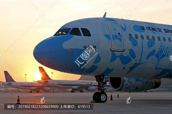 深圳航空大運(yùn)號(hào)飛機(jī)彩繪