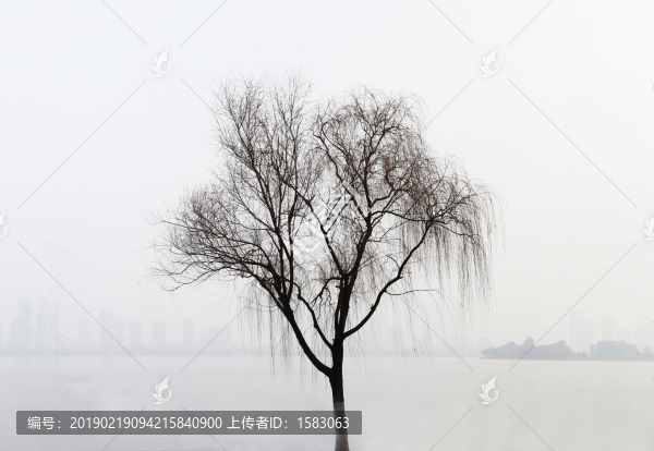 冬天水墨畫