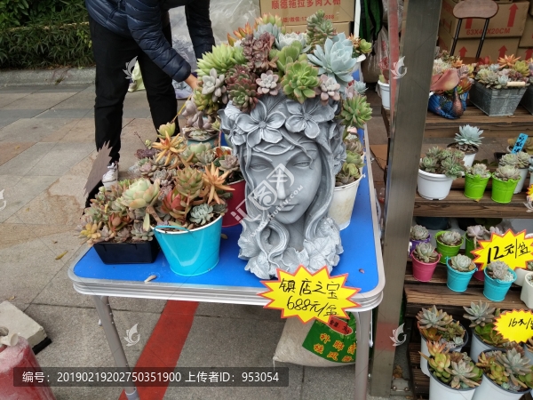 花天使