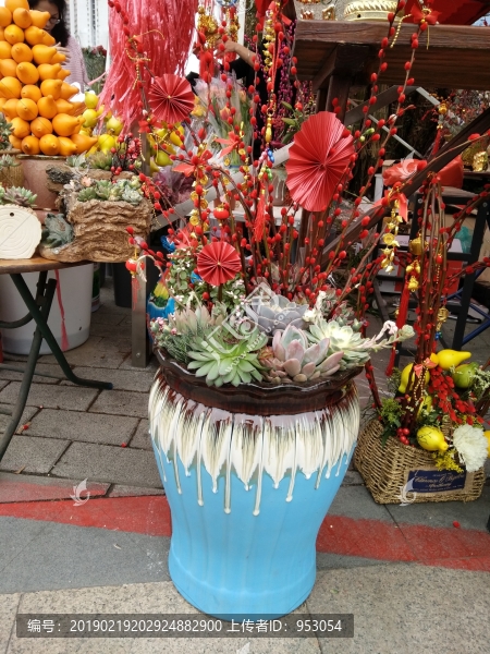 花卉