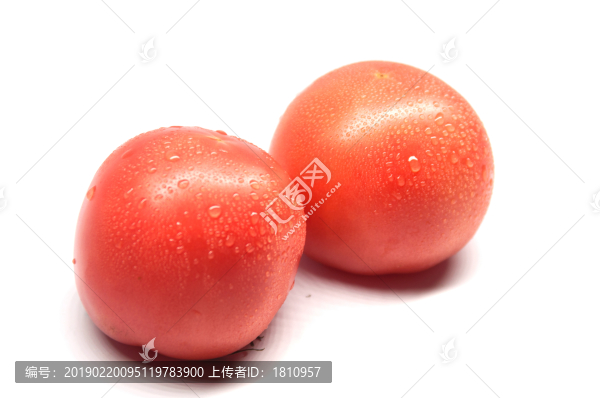 西紅柿