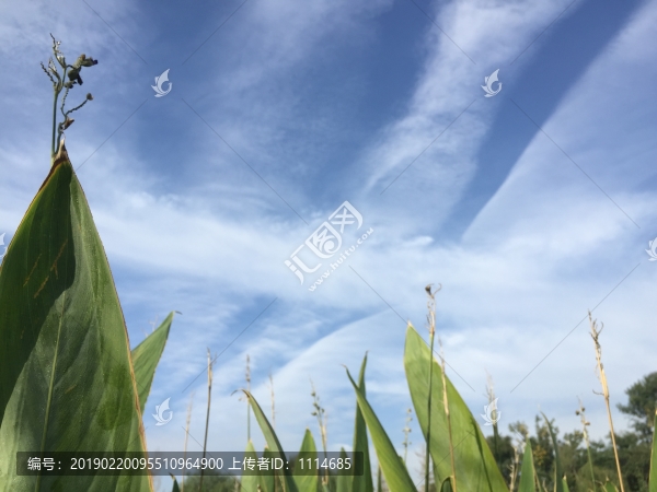 風輕云淡