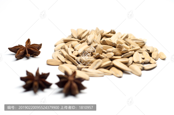 白皮瓜子