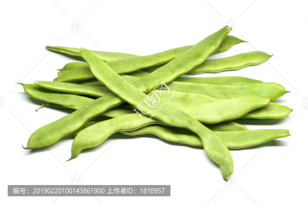 扁豆