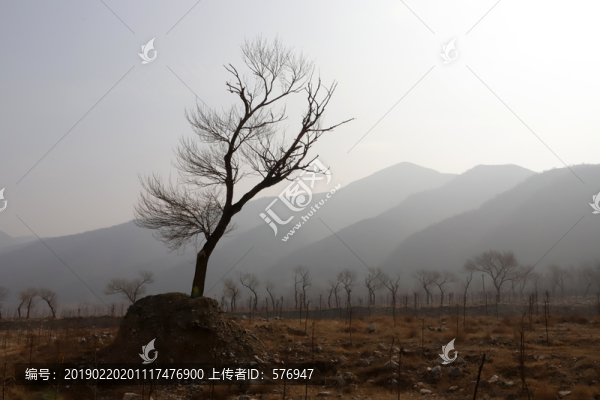 裝飾畫