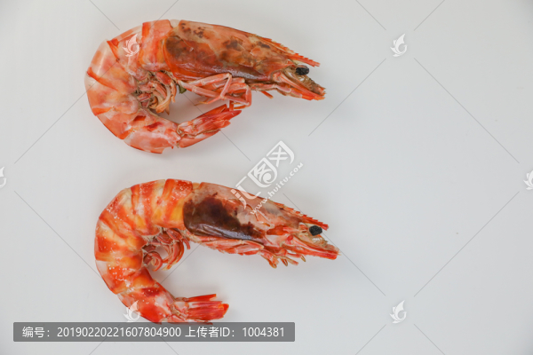 蝦干