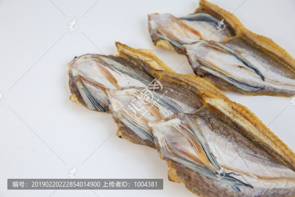河豚魚(yú)