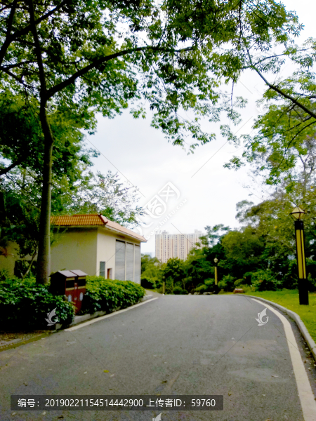 南寧人民公園風(fēng)景