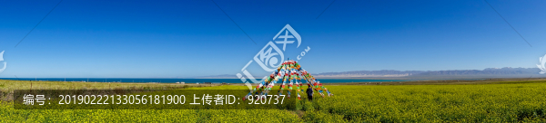 青海湖風(fēng)光