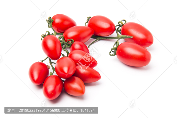 小西紅柿